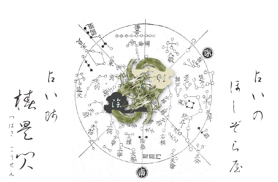 占いのほしぞら屋（椿昊閃）の看板 — 古星図に龍の意匠